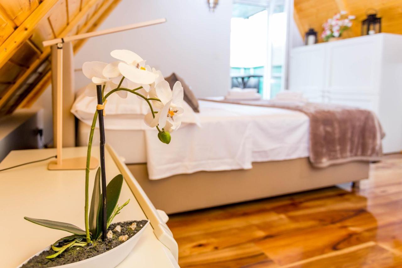 Apartament House Antique *